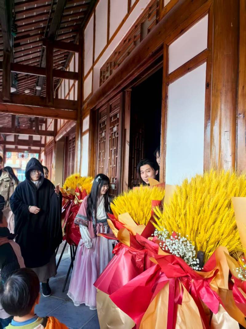 凤泉区文旅项目策划